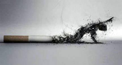 Выкуривайте только половину сигареты (